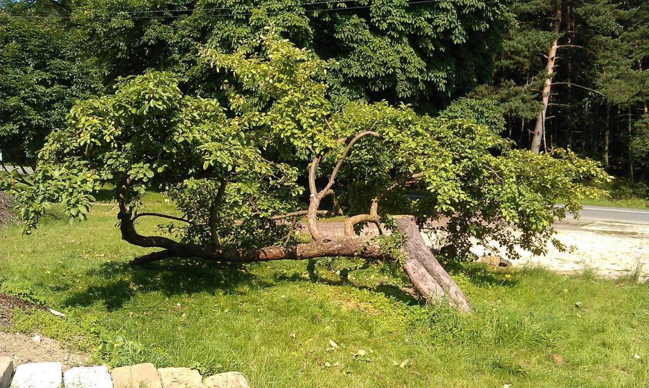 Penzion Slunecno Dobšín Extérieur photo